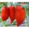 Томат ЧЕРЕВИЧКИ