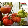 Томат ЧИЛО ДЕЛЛА ГАРФАНЬЯНА