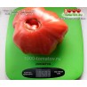 Томат ЧИЛО ДЕЛЛА ГАРФАНЬЯНА
