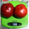 Томат ЧИЛО ДЕЛЛА ГАРФАНЬЯНА