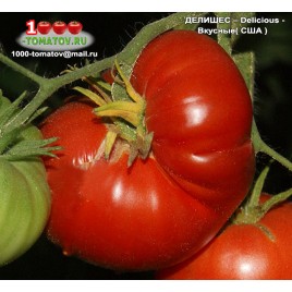 Томат ДЕЛИШЕС – Delicious - Вкусные