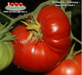 Томат ДЕЛИШЕС – Delicious - Вкусные