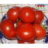 Томат ДЕЛИШЕС – Delicious - Вкусные 