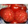 Томат ДЕЛИШЕС – Delicious - Вкусные 