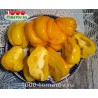 Томат ДРАПИРОВАННЫЙ