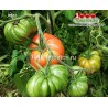 Томат ДЖАЗ  Jazz