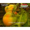 Томат ЕСЫКСКИЙ КРИСТАЛЛ Томат ЕСЫКСКИЙ КРИСТАЛЛ