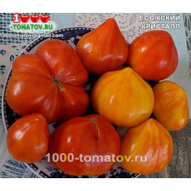 Томат ЕСЫКСКИЙ КРИСТАЛЛ