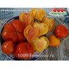 Томат ЕСЫКСКИЙ КРИСТАЛЛ