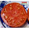 Томат  ФАНТАСТИЧЕСКИЙ ФИЛА
