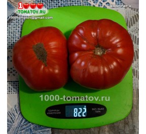 Томат ФАВОРИТ 4