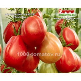 Томат ФРАНЦУЗСКИЙ ПОЦЕЛУЙ