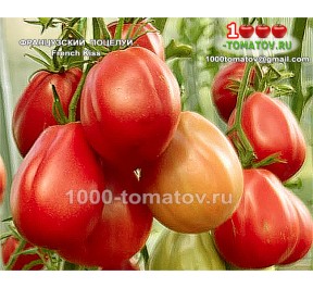 Томат ФРАНЦУЗСКИЙ ПОЦЕЛУЙ