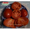 Томат ФРИУЛЬСКИЙ ГИГАНТ