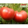 Томат ГИГАНТ БЕЛЬГИИ Томат ГИГАНТ БЕЛЬГИИ
