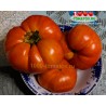 Томат ГИГАНТ БОЕРИ Gigante Boeri 