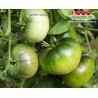 Томат ГИГАНТ КУБЫ ЧЁРНЫЙ