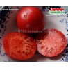 Томат ГИГАНТ МАСЛОВА Томат ГИГАНТ МАСЛОВА
