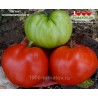 Томат ГИГАНТ СУХОМЛИНСКОГО