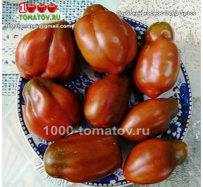 Томат ГЛУБОКИЙ КОСМОС