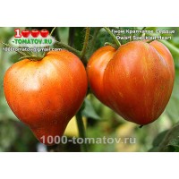 Томат ГНОМ КРАПЧАТОЕ СЕРДЦЕ