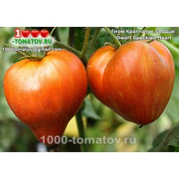 Томат ГНОМ КРАПЧАТОЕ СЕРДЦЕ