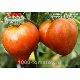 Томат ГНОМ КРАПЧАТОЕ СЕРДЦЕ