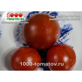 Томат ГНОМ БАНДАБЕРГ РАМБОЛЛ