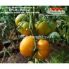 Томат Гном  ДЕЛЬТА ВОДОЛАЗА ЖЕЛТЫЙ И КРАСНЫЙ   Томат Гном  ДЕЛЬТА ВОДОЛАЗА ЖЕЛТЫЙ И КРАСНЫЙ