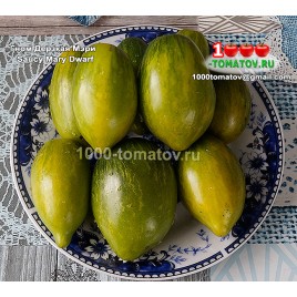 Томат ГНОМ ДЕРЗКАЯ МЭРИ Saucy Mary Dwarf