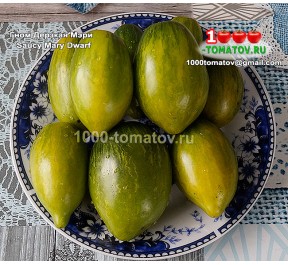 Томат ГНОМ ДЕРЗКАЯ МЭРИ Saucy Mary Dwarf