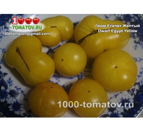 Томат ГНОМ ЕГИПЕТ ЖЁЛТЫЙ