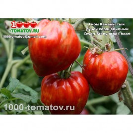 Томат Гном КАМЕНИСТЫЙ РУЧЕЙ СЕРДЦЕВИДНЫЙ