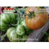 Томат ГНОМ КОРОЛЬ КРАСОТЫ