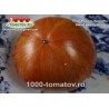 Томат ГНОМ КОРОЛЬ КРАСОТЫ