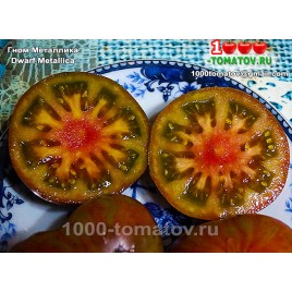 Томат ГНОМ МЕТАЛЛИКА