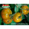 Томат ГНОМ ПОЛОСАТЫЙ ДЖЕРЕМИ Томат ГНОМ ПОЛОСАТЫЙ ДЖЕРЕМИ