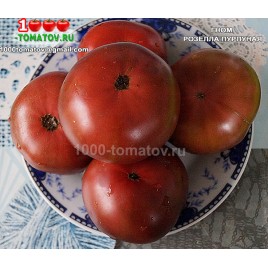 Томат ГНОМ РОЗЕЛЛА ПУРПУРНАЯ Dwarf Rosella Purple  