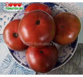 Томат ГНОМ РОЗЕЛЛА ПУРПУРНАЯ Dwarf Rosella Purple  