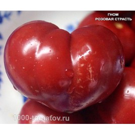 Томат ГНОМ РОЗОВАЯ СТРАСТЬ  Dwarf Pink Passion