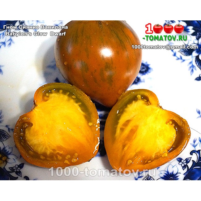 Томат ГНОМ СИЯНИЕ ВАВИЛОНА Томат ГНОМ СИЯНИЕ ВАВИЛОНА