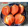 Томат ГНОМ СОЛНЕЧНЫЙ ПЕРСИК Dwarf Sunkissed Peach