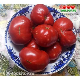 Томат ГНОМ ВКУСНОЕ ВИНО  Dwarf Tasty Wine