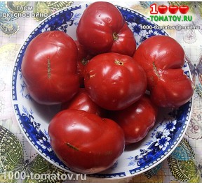 Томат ГНОМ ВКУСНОЕ ВИНО  Dwarf Tasty Wine