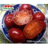 Томат ГНОМ ВКУСНОЕ ВИНО  Dwarf Tasty Wine