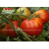 Томат ГОЛИАФ Томат ГОЛИАФ