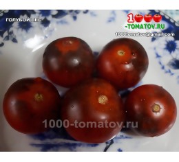 Томат ГОЛУБОЙ ЛЕС