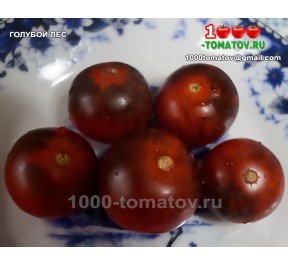 Томат ГОЛУБОЙ ЛЕС