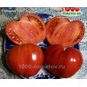 Томат ГОВЯДИНА С КУСТА Томат ГОВЯДИНА С КУСТА