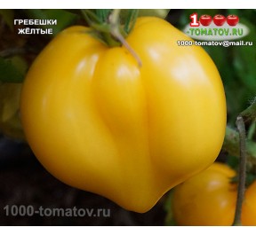 Томат ГРЕБЕШКИ ЖЁЛТЫЕ 